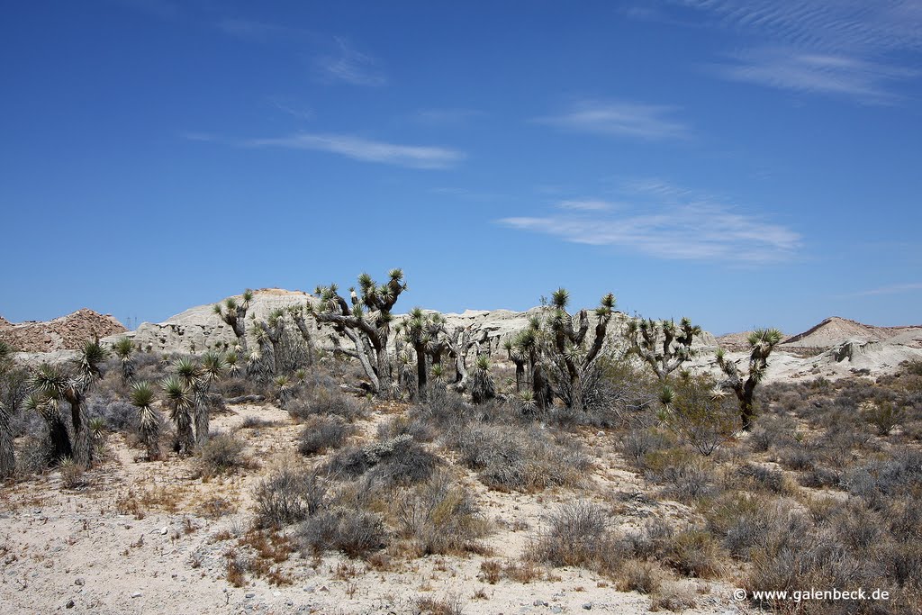 Red Rock Canyon State Park by www.galenbeck.de