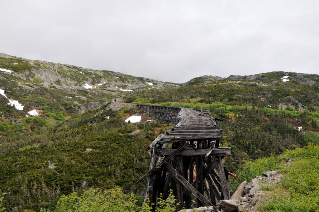 White Pass Yukon Railroad by jackborno