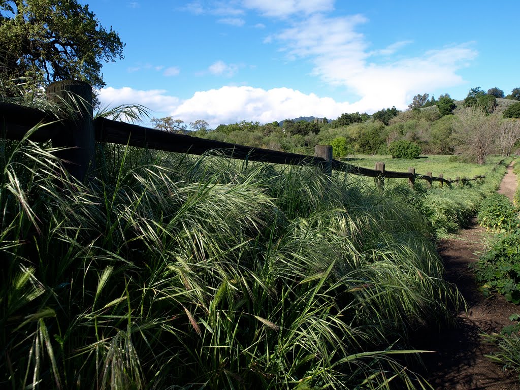 Agoura Hills Horse Trail by cnjncali