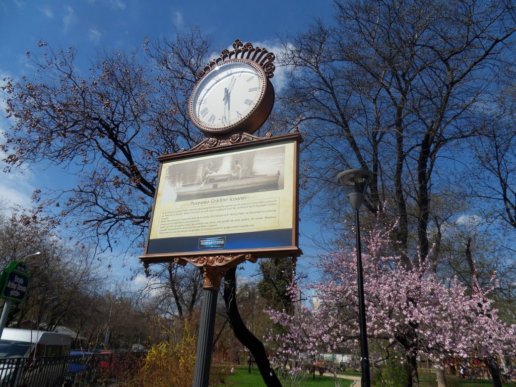 Icoanei Park's Clock by eugen_chicio