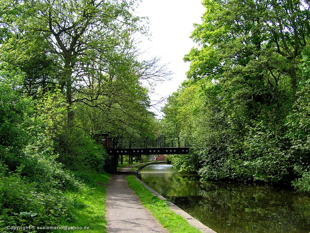 Stoke-on-Trent: Shelton Park by ♀+♂ : S&M  :  S + M = ♥²