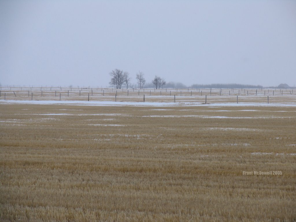 Prairies of Saskatchewan by Brant