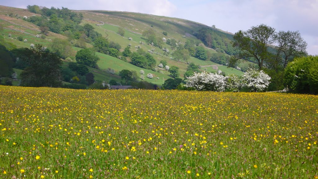 Dentdale by Tim Gardner