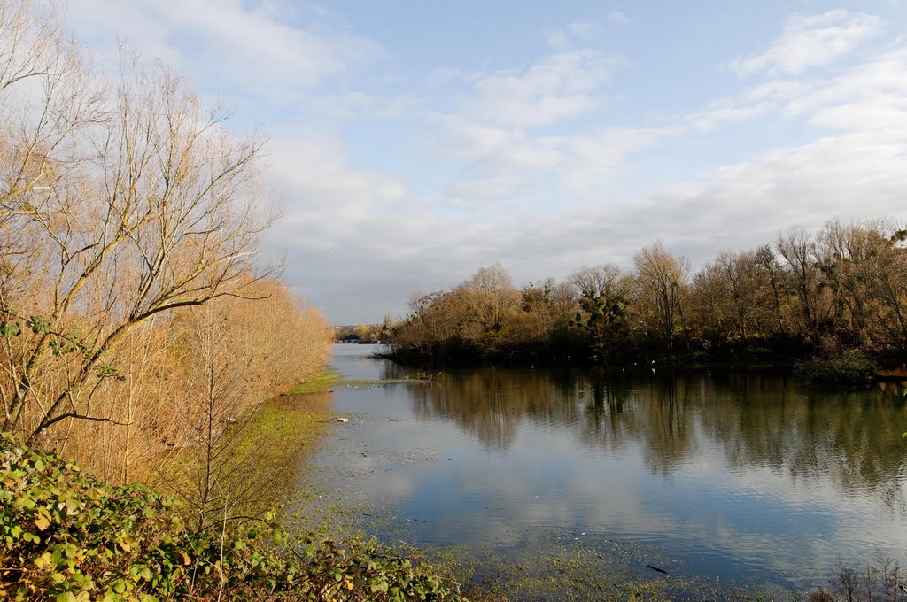 Carrières-sous-Poissy - Etang de la Galiote by Philippe POIX