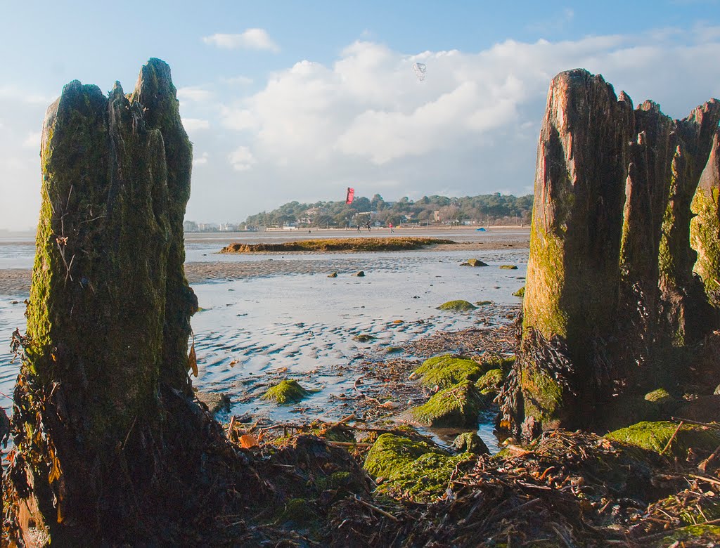 Poole Harbour by Carl31