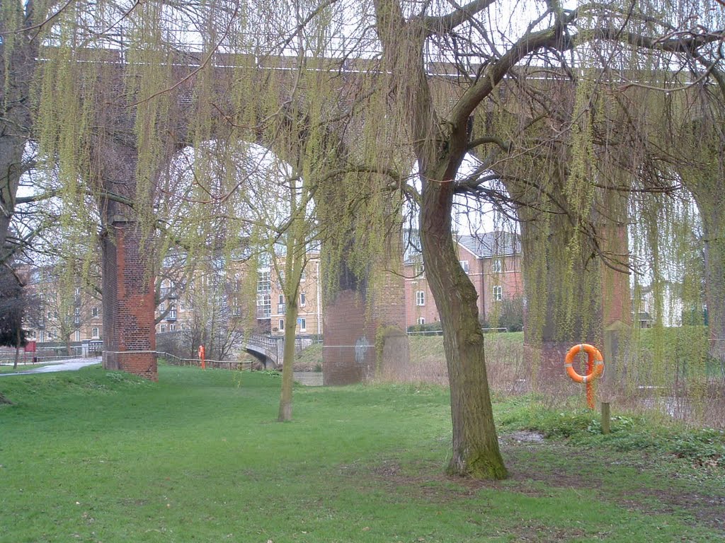 Viaduct Through a Tree by Rogue T Cat