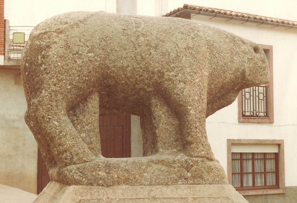 Toro Ibérico by Juan José Zurdo