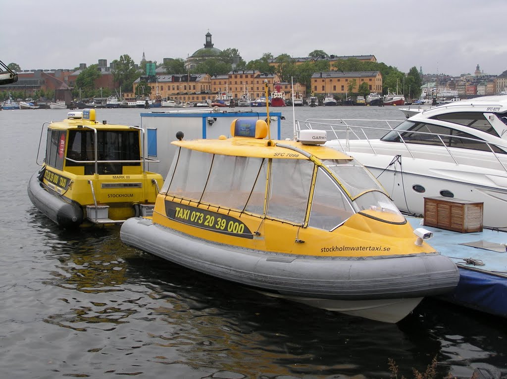 Watertaxi stand at Strandvägen by Willem Nabuurs