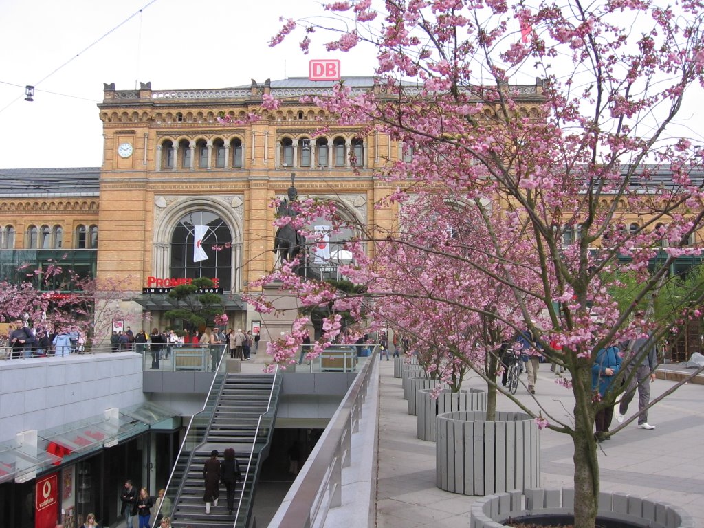 Frühling am Hauptbahnhof Hannover by Ramona N.