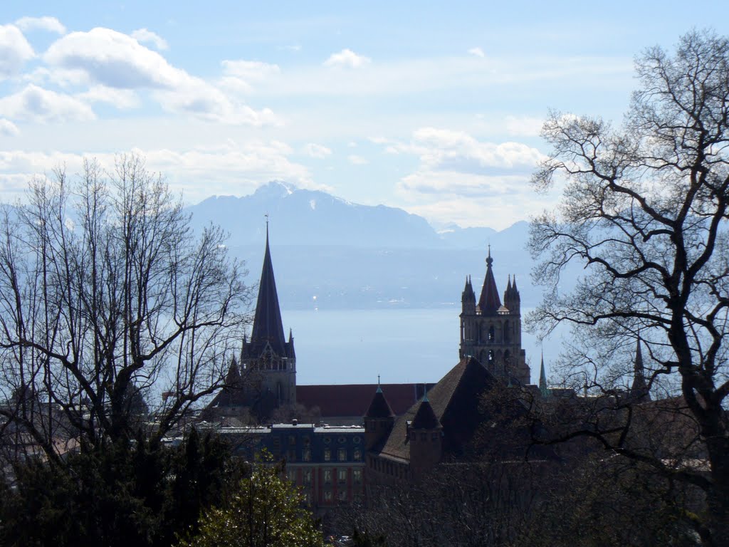 La cathédrale by Tomash07