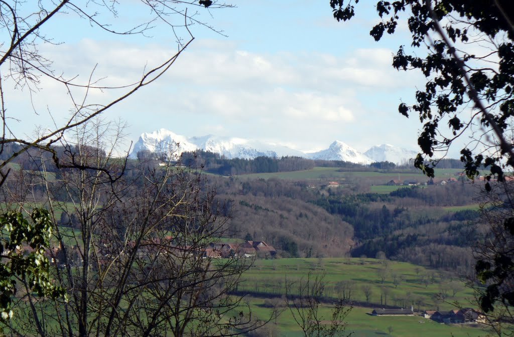 Vue depuis les fondations du château by Tomash07