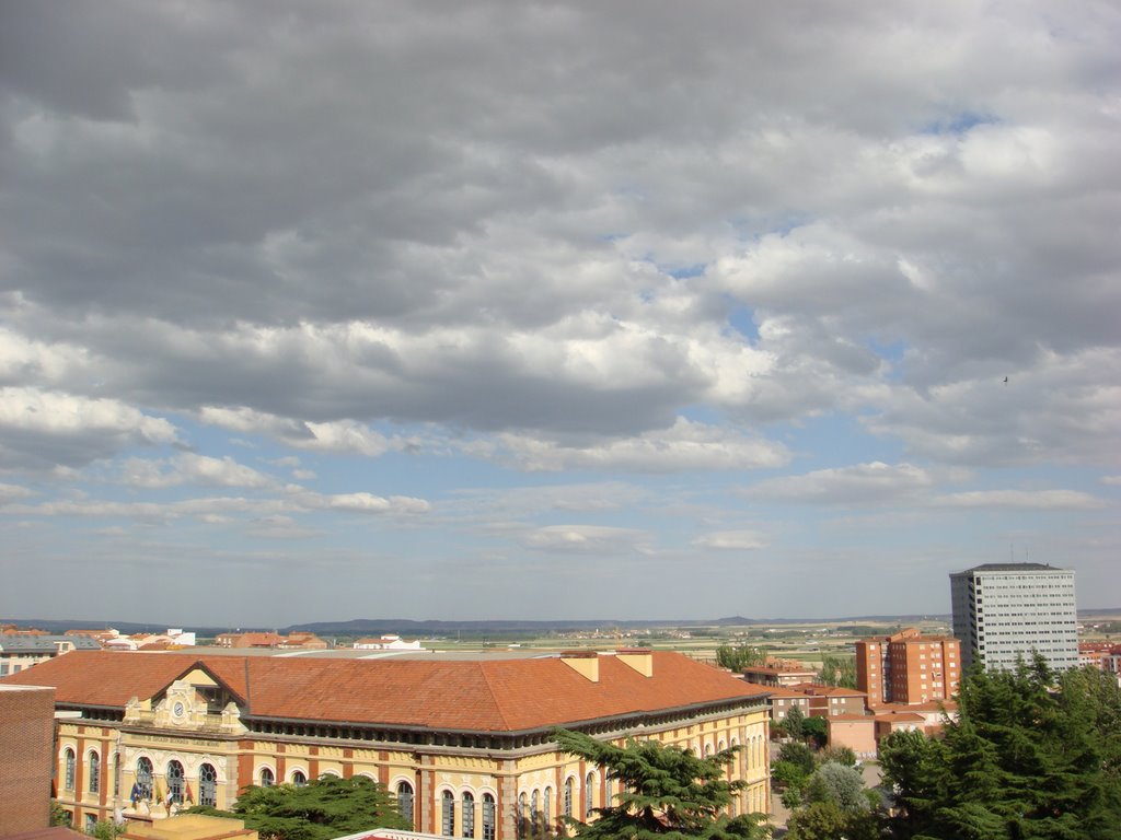 Claudio Moyano desde las alturas, Zamora, País Llionés by Llara