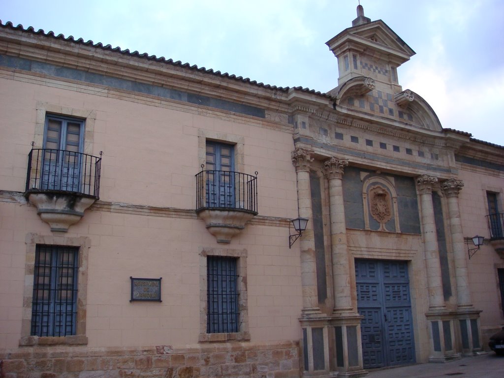 Palacio del Obispo, Zamora, País Llionés by Llara