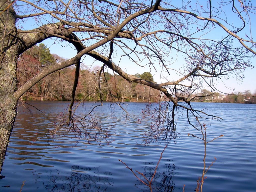 Wagamon's Pond by mortonfox