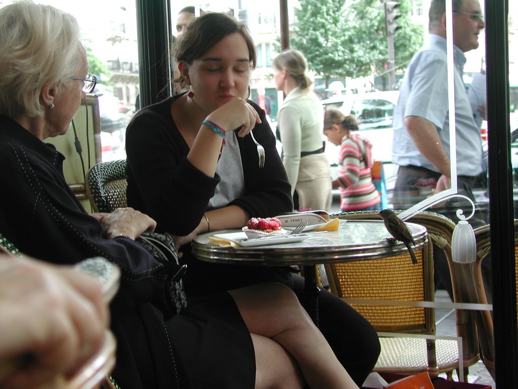 A bird in Les Deux Magots by T.Y.