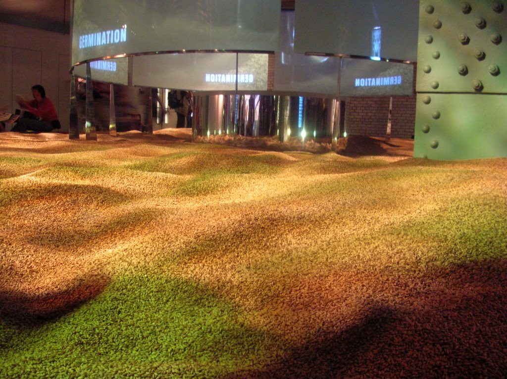 Wheat sea in Guinness Store House, Dublino (Dublin), Irlanda (Eire, Ireland) by Danilo Pianini