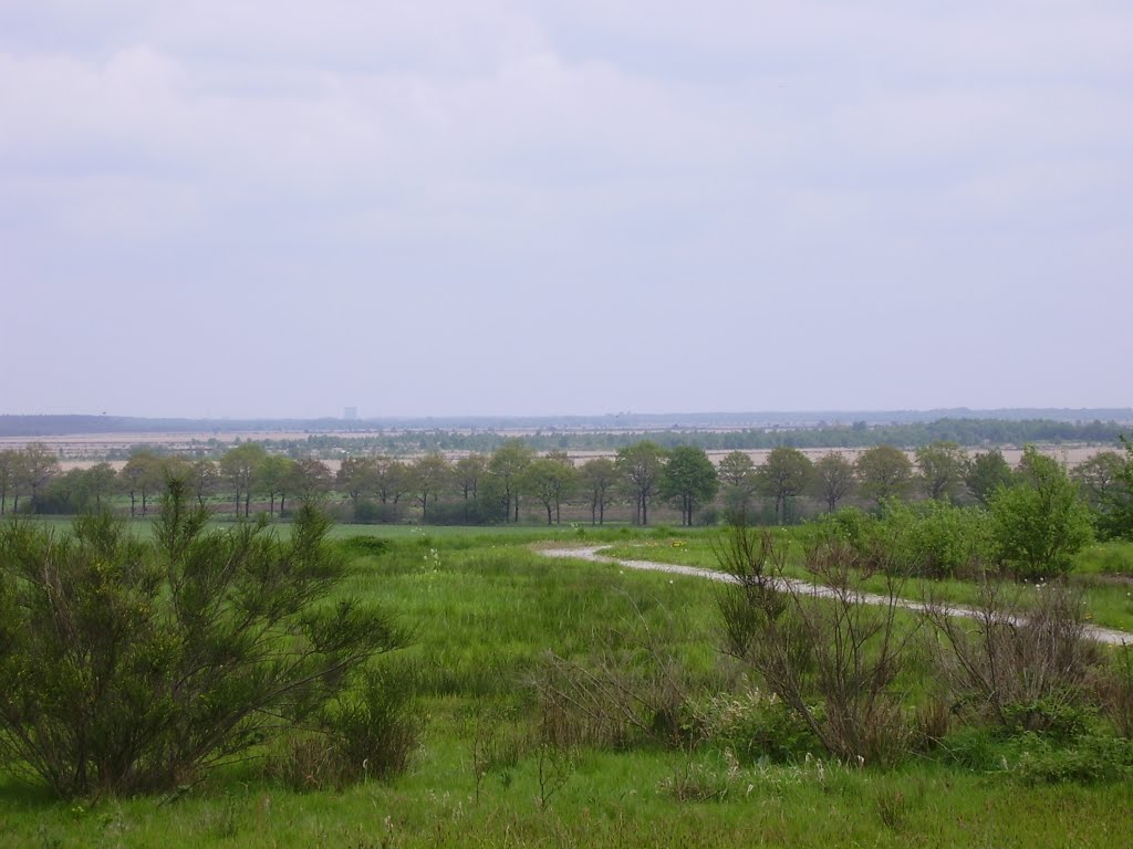 Uitzicht vanaf de Weperbelt richting Fochteloërveen en Assen by roepers