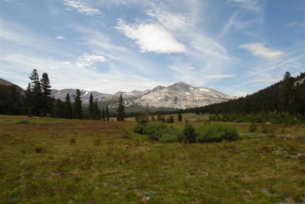 Just past Yosemite's east entrance by pelesl