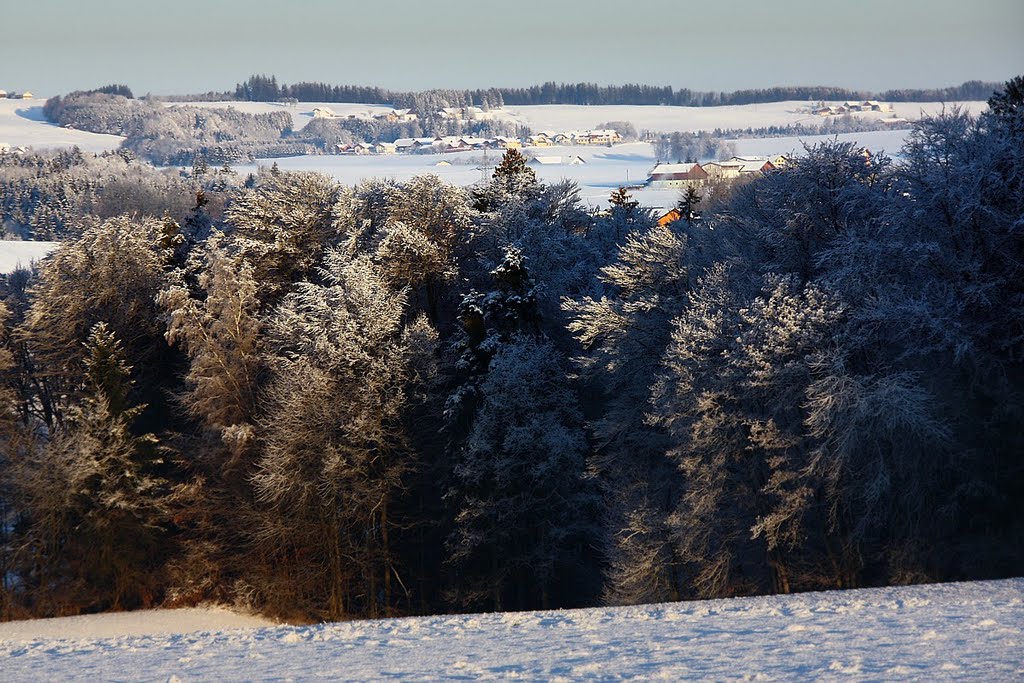 Morning Light by Klaus Robl