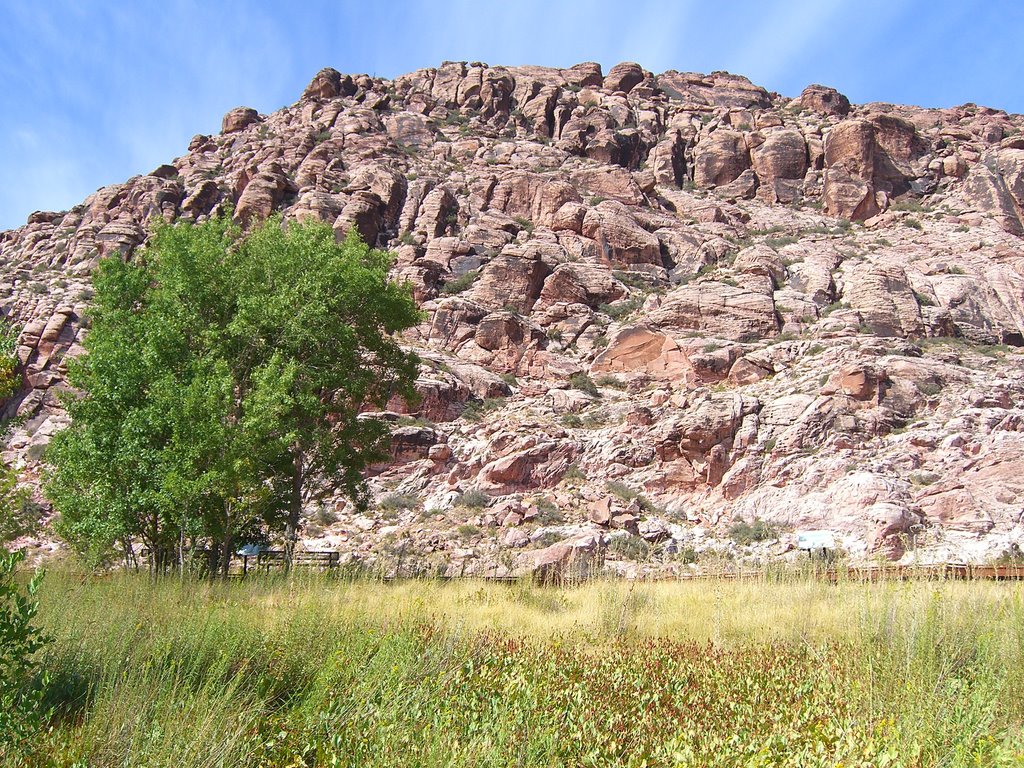 Red Rock, NV by Kelli S. by KELLIx420