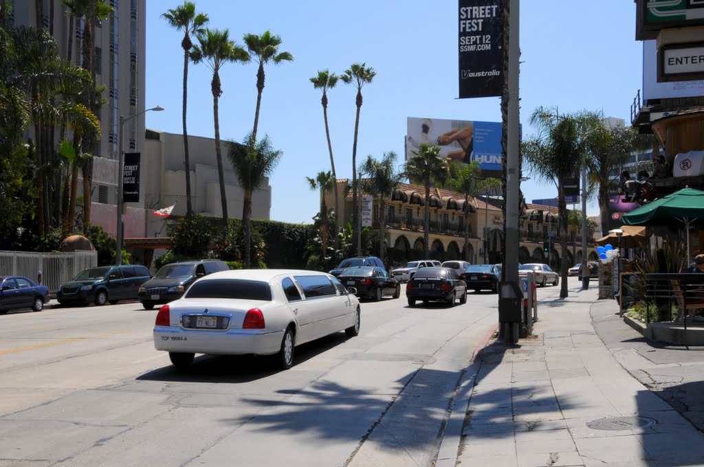 Hollywood; Sunset Blvd at noon by Phil Nieto