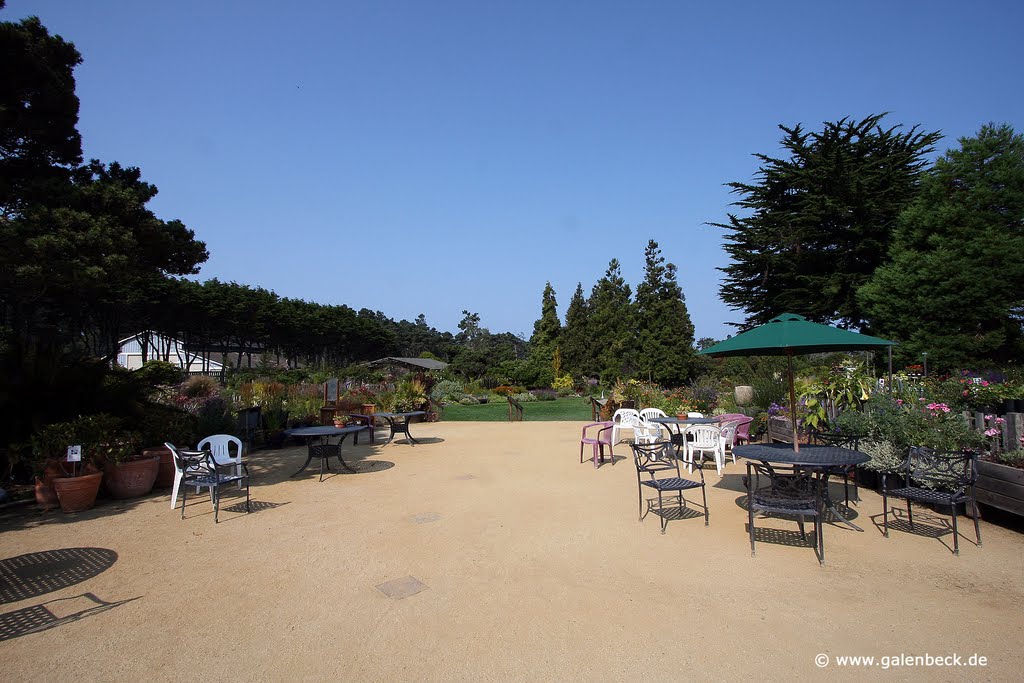 Mendocino Coast Botanical Gardens by www.galenbeck.de