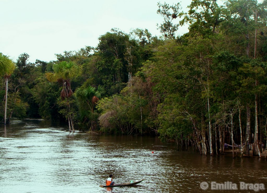 Rio Preto da Eva, Amazonas, Brasil by Emilia Braga