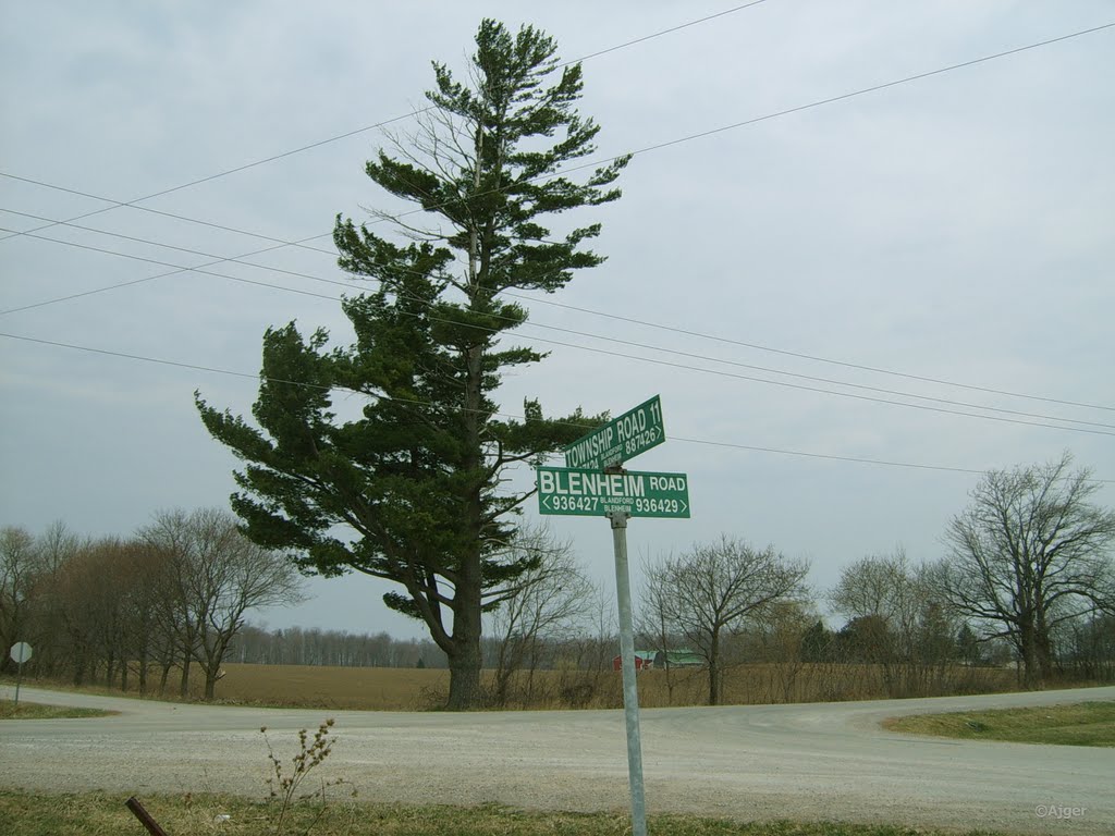 Township Road 11 & Blenhem Road Junction by NAjger