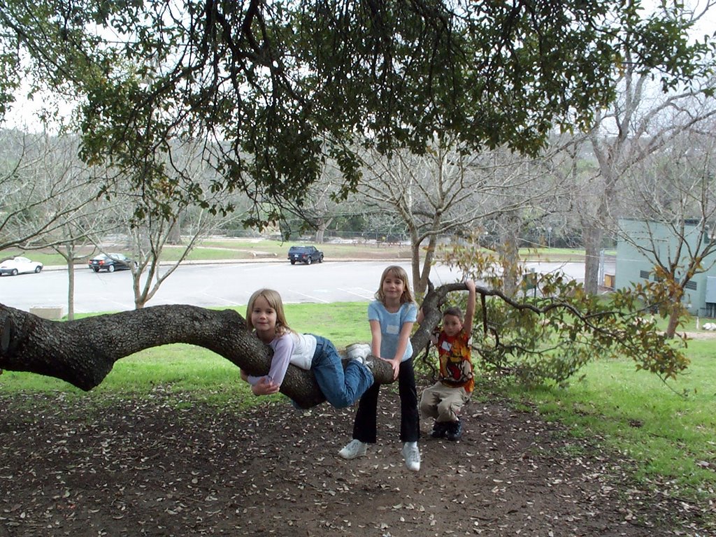 Playing in Zilker Park by robertels