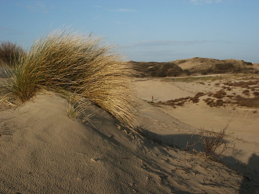 Duinen bij Noordwijk by RemkoD