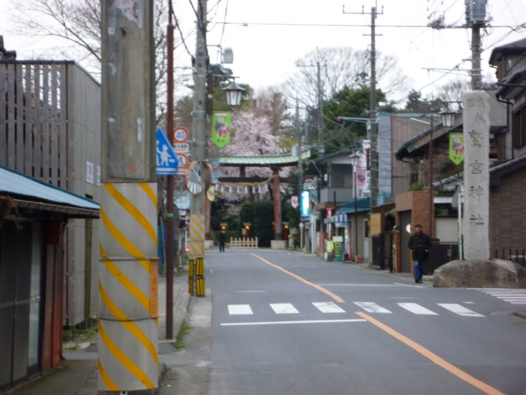 鷲宮神社 by AkIrA