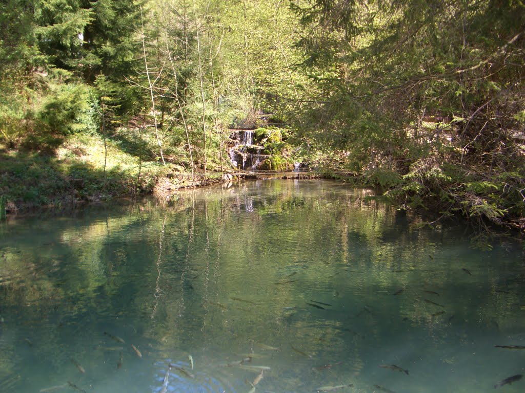 Natur-Fischteich bei der Wallfahrtskirche Ave Maria by GEO-Reini