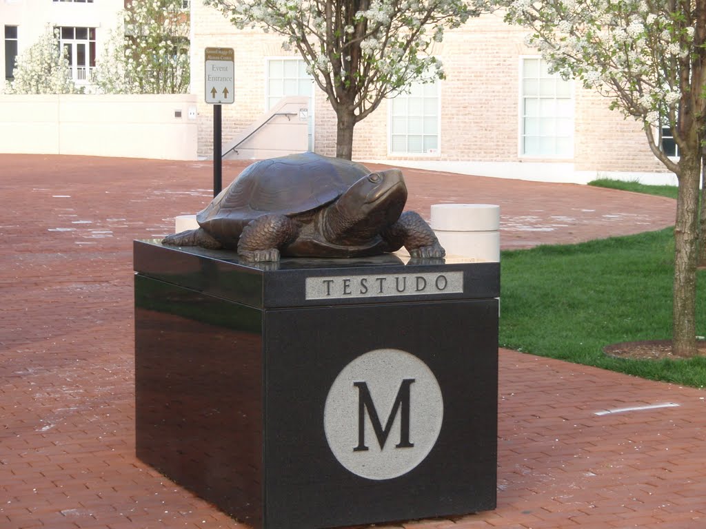 Testudo by marylohr