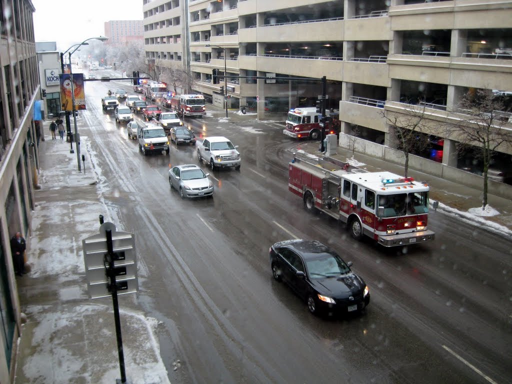 Ice Storm, Jan. 20, 2010 by slakingfool