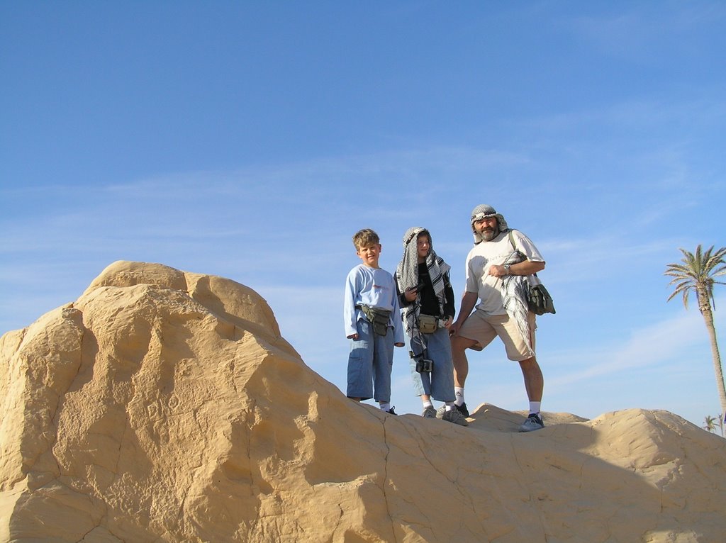 Petrified Dunes by Grulovic