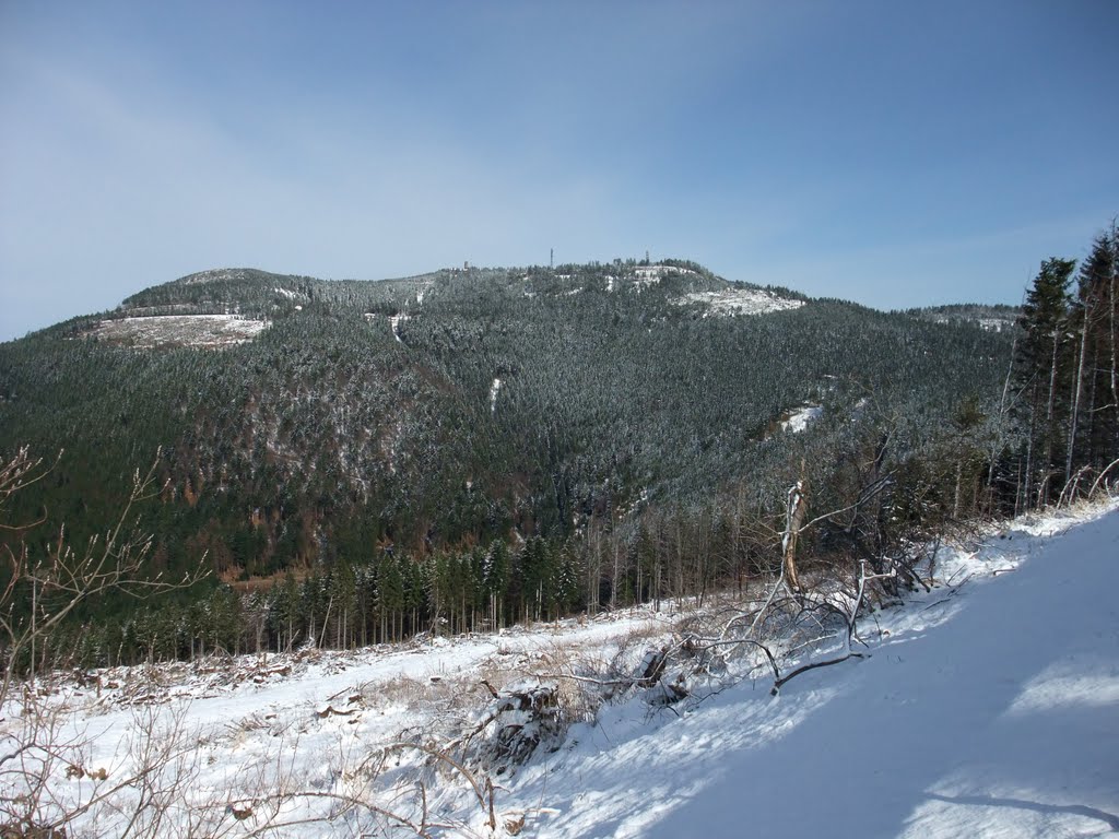 Hornisgrinde (1164m), Südseite des höchsten Berges im Nordschwarzwald. In einer Mulde davor liegt der vielbesuchte Mummelsee. 2.4.2010 by RDZfds