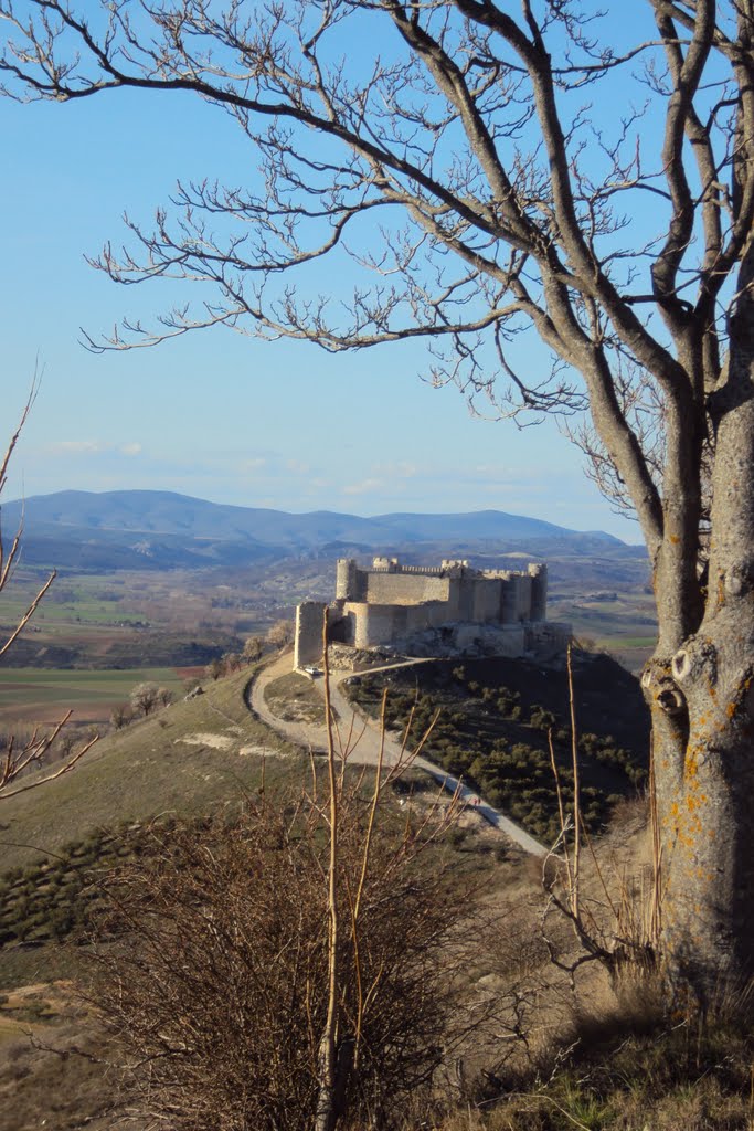 Castillo de Jadraque by isabc