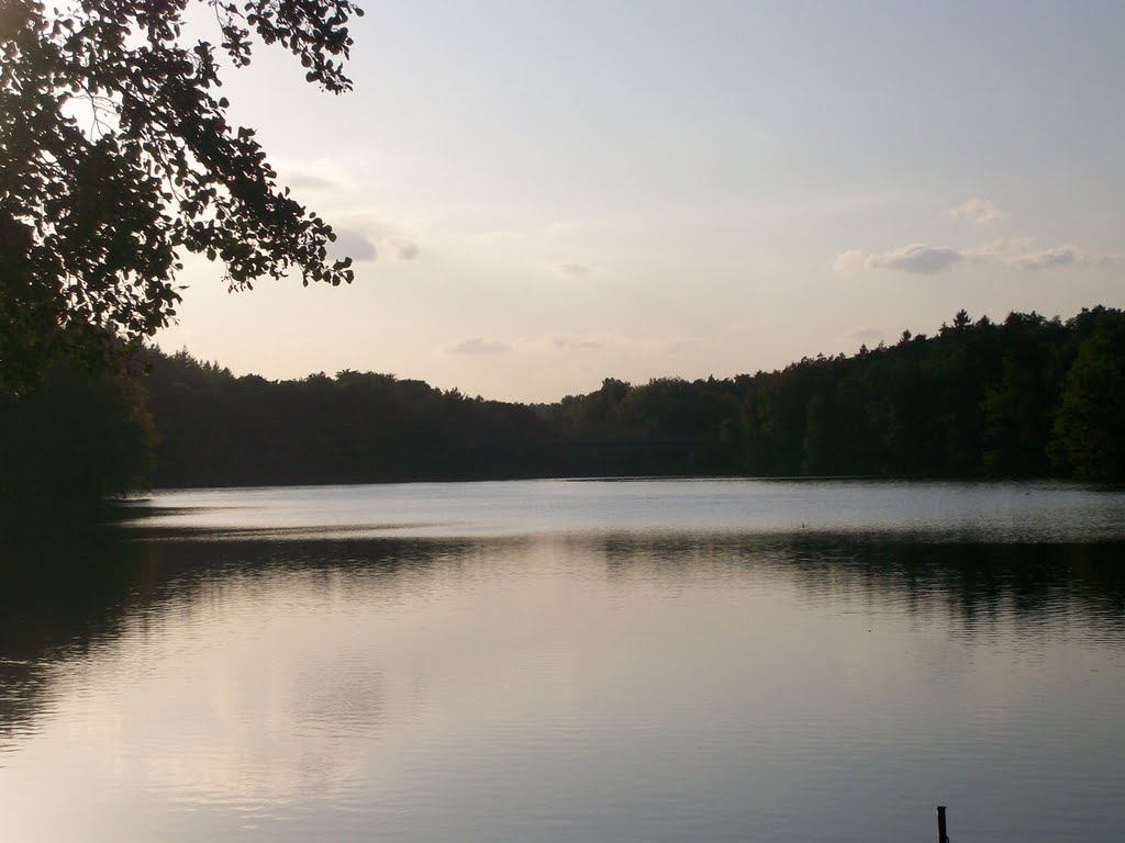 Lanke, am Ostufer des Obersees by Klaus Brinkmann