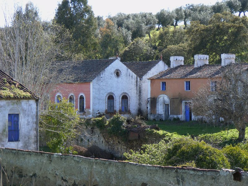 Fadagosa, Beirã, Marvão by joao chicarra