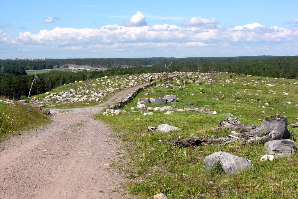 Vuosaari hill 2007 by K.Sundvall