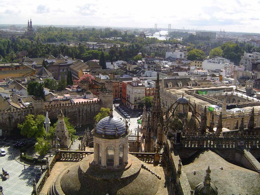 View from Giralda by Emiliano Homrich