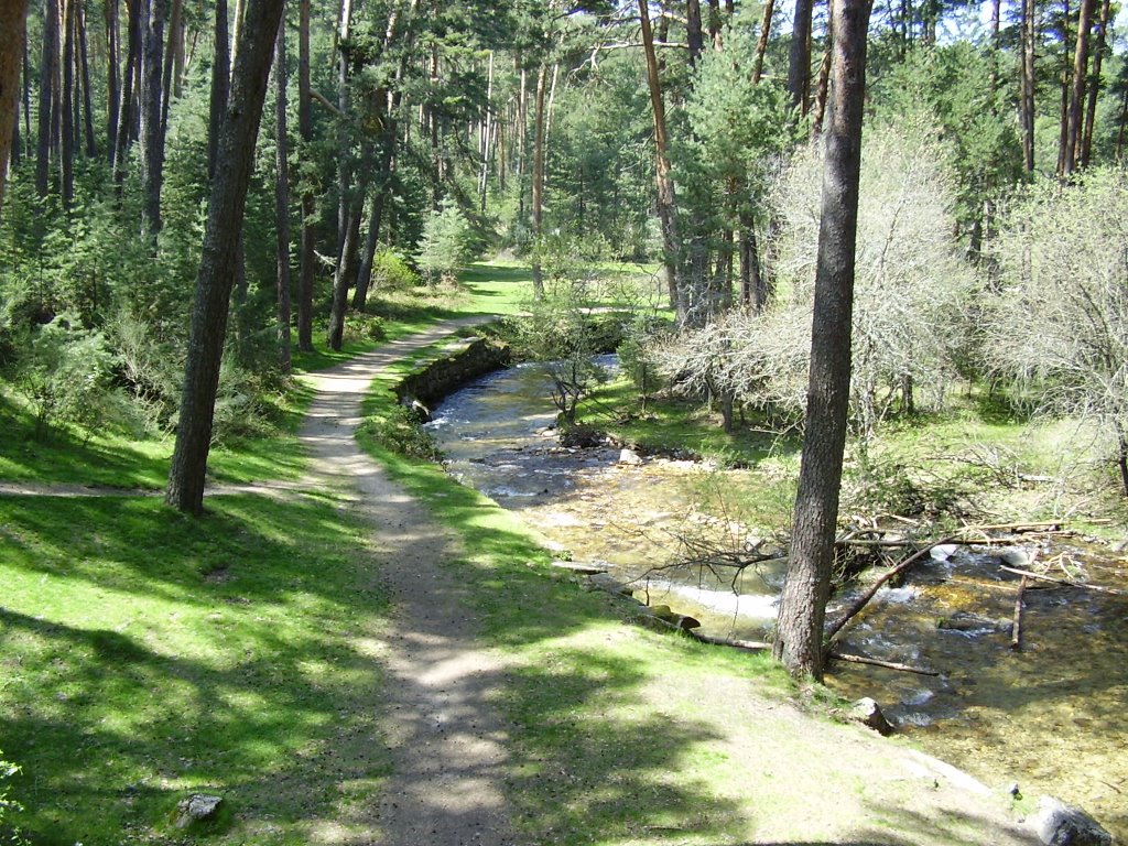 Merendero Boca del asno (Rio Eresma) by Alicia Serrano