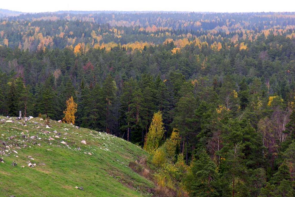 Vuosaari hill, oct.2006 by K.Sundvall