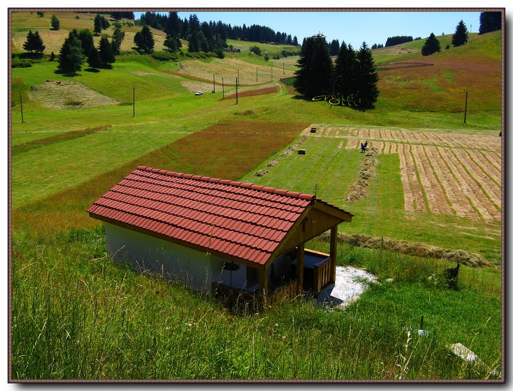 Rozhen meadows / Роженски Поляни by evg777