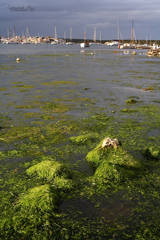 Porto Colom, Mallorca by Txema Bacaicoa