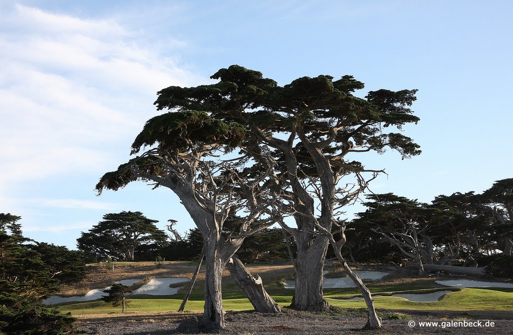 17 Mile Drive by www.galenbeck.de