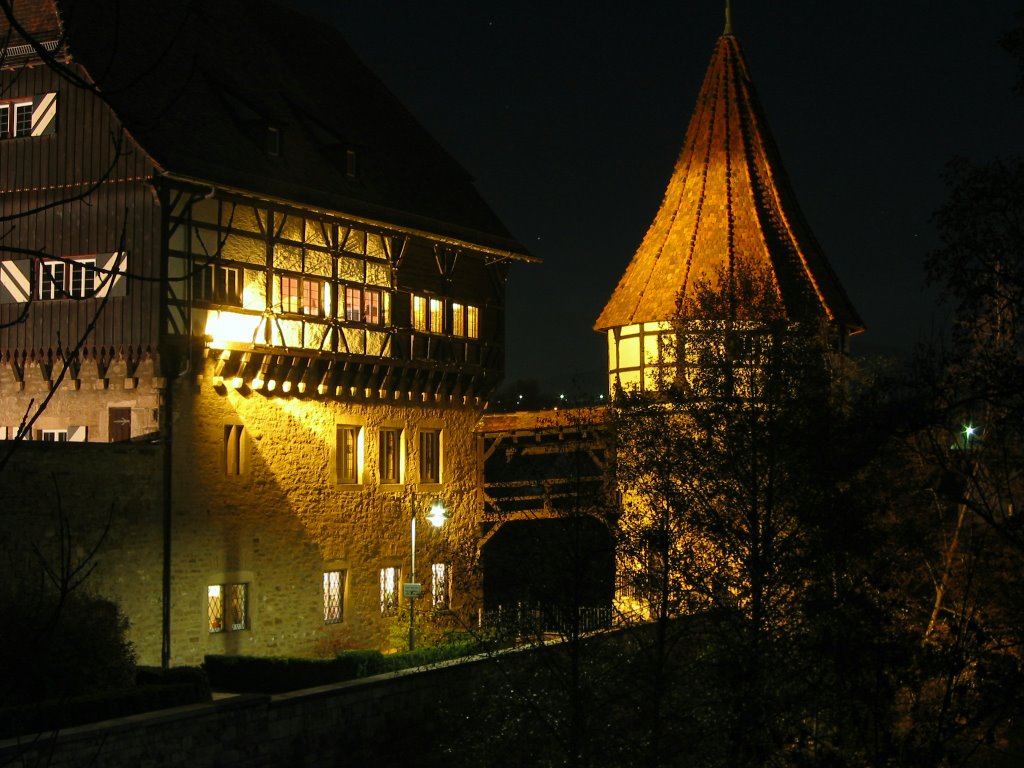 Zollernschloss bei Nacht by Frank Schulz