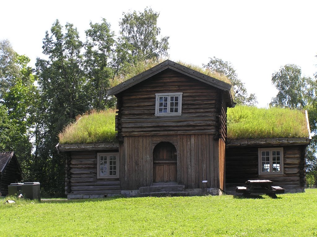 Hedmarksmuseet by Willem Nabuurs