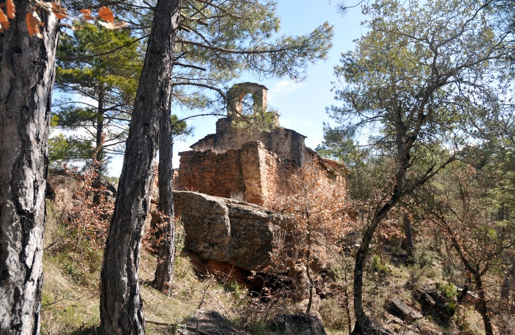 Sant Martí del Puig de Rialb by Antonio Saez Torrens