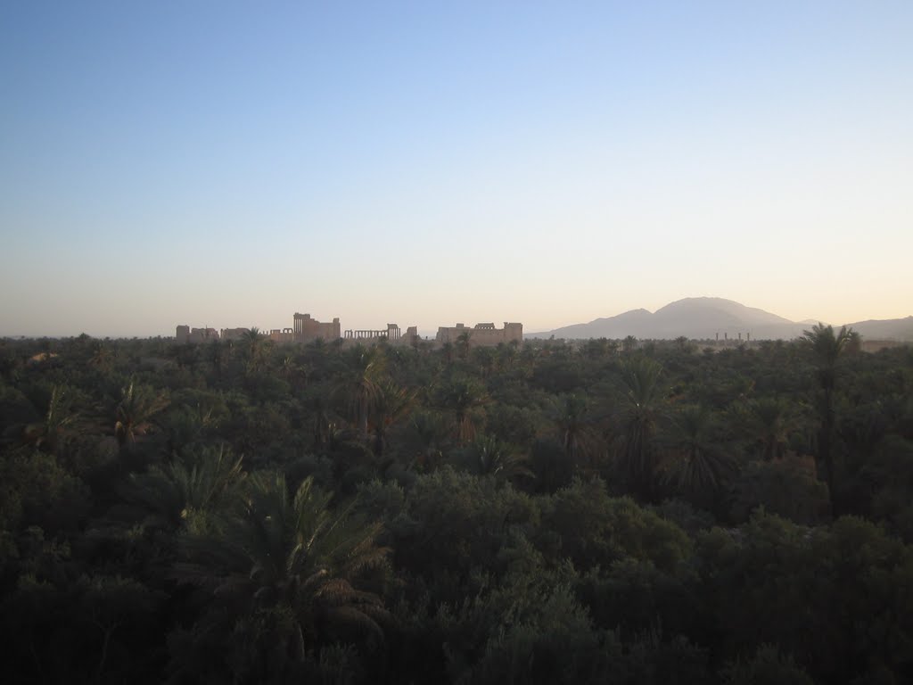 The Roman ruins and Temple of Bel seen from the oasis at Palmyra by Thames Ditton